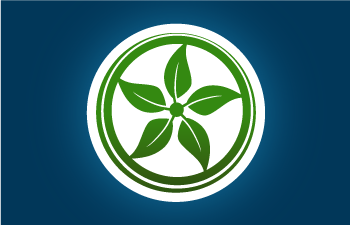 Ecowatt